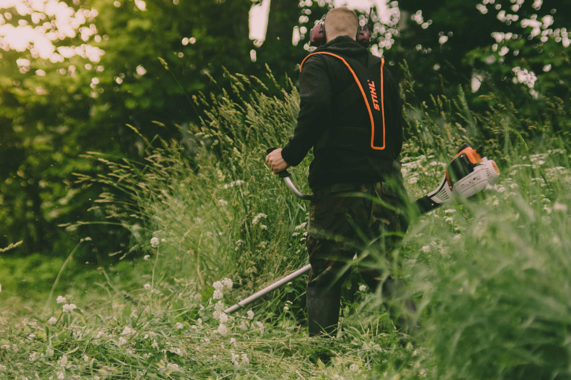 toms-brencis-SWnaihAjWRM-unsplas Gartenpflege Berlin